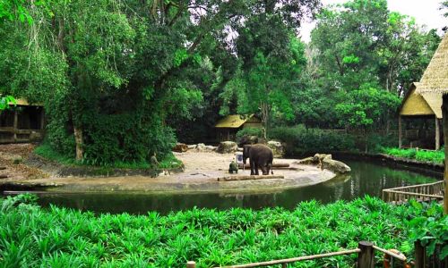 singapore-zoo